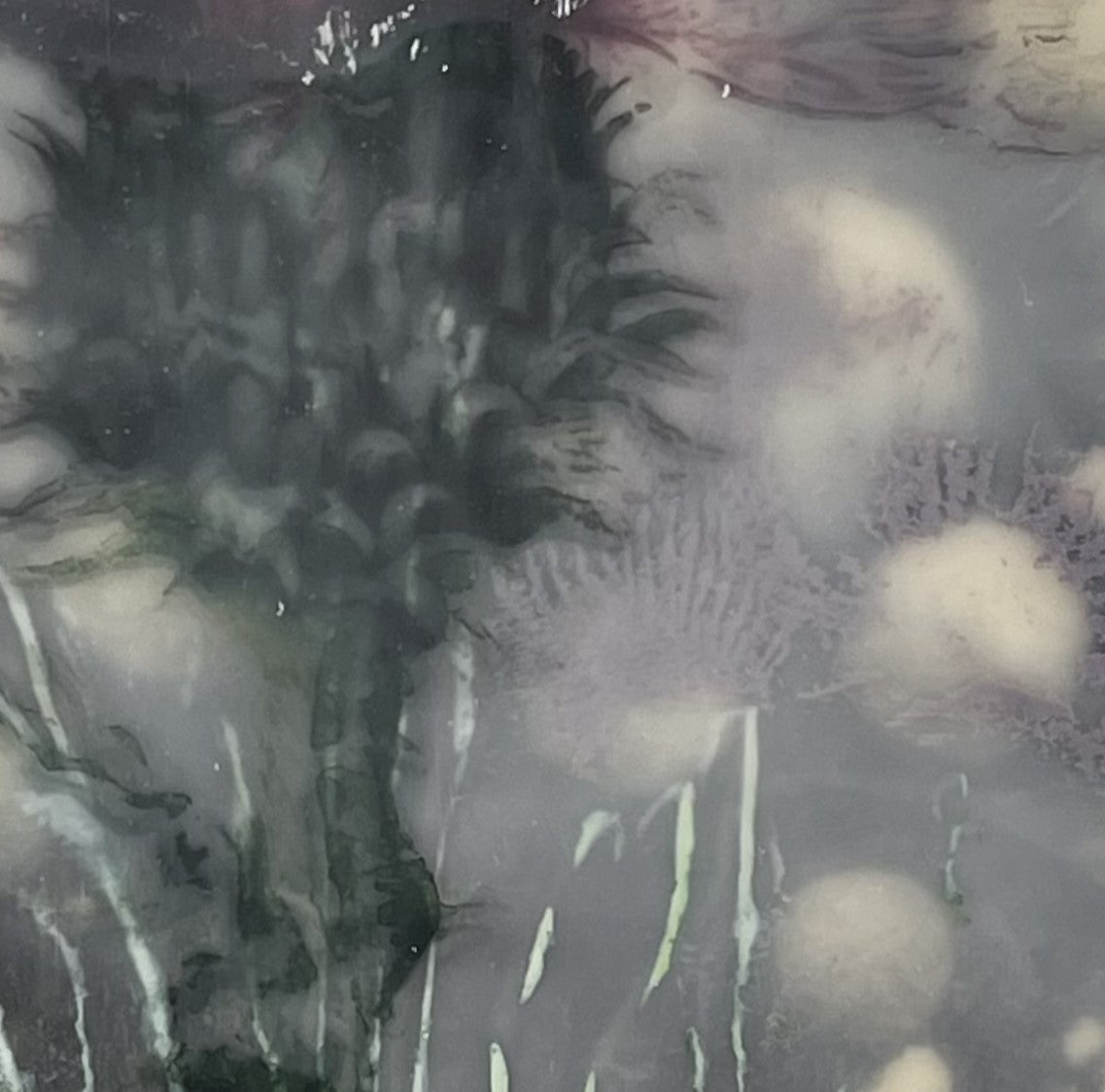 "Thistle" Encaustic Painting