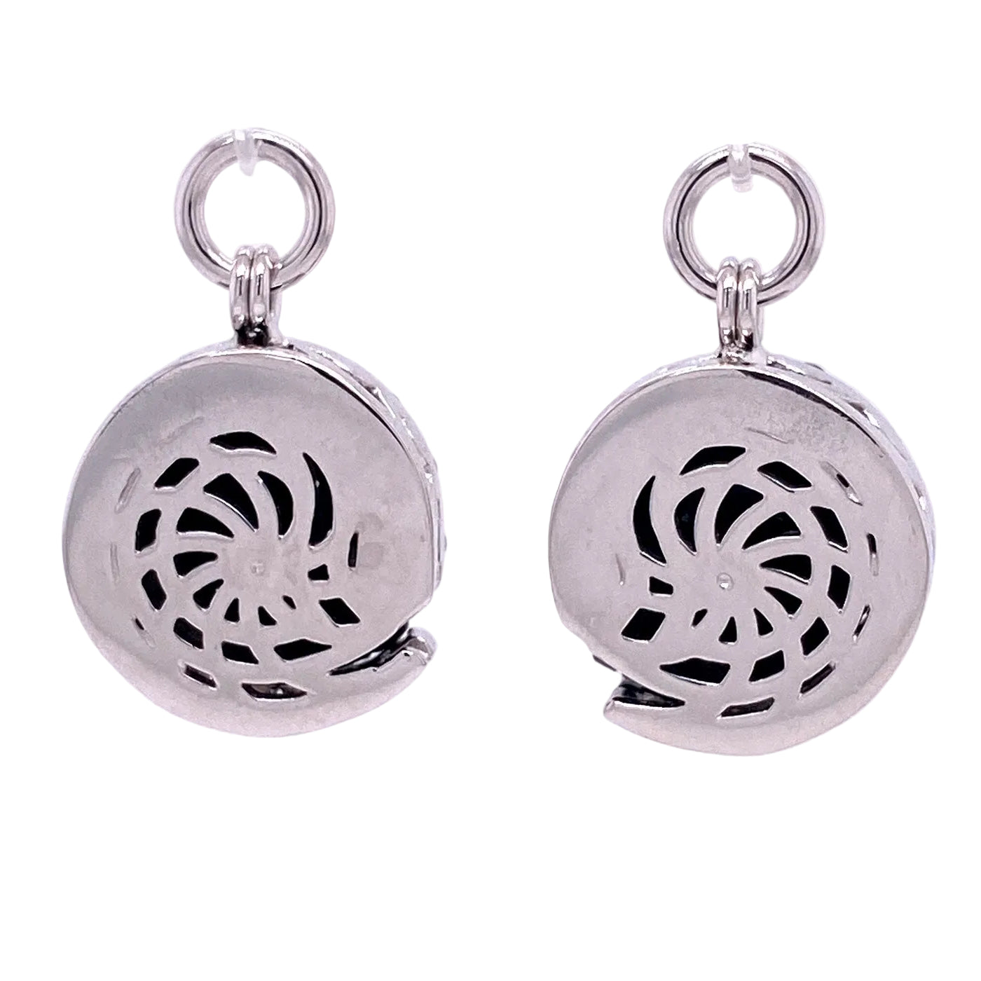 Carved Obsidian Ammonite Jackets