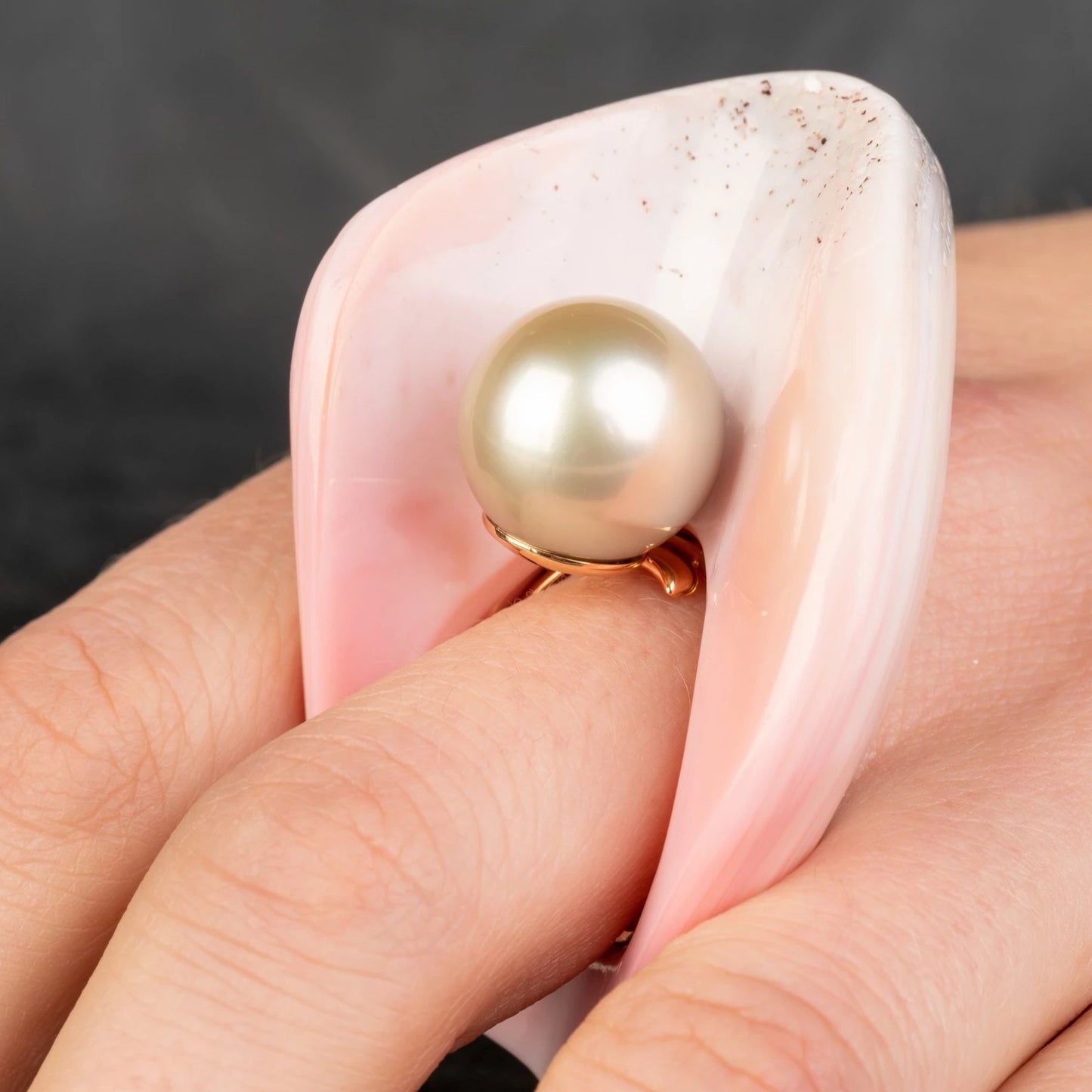 Custom Jewelry, Conch Shell Ring, llyn strong, Greenville, South Carolina
