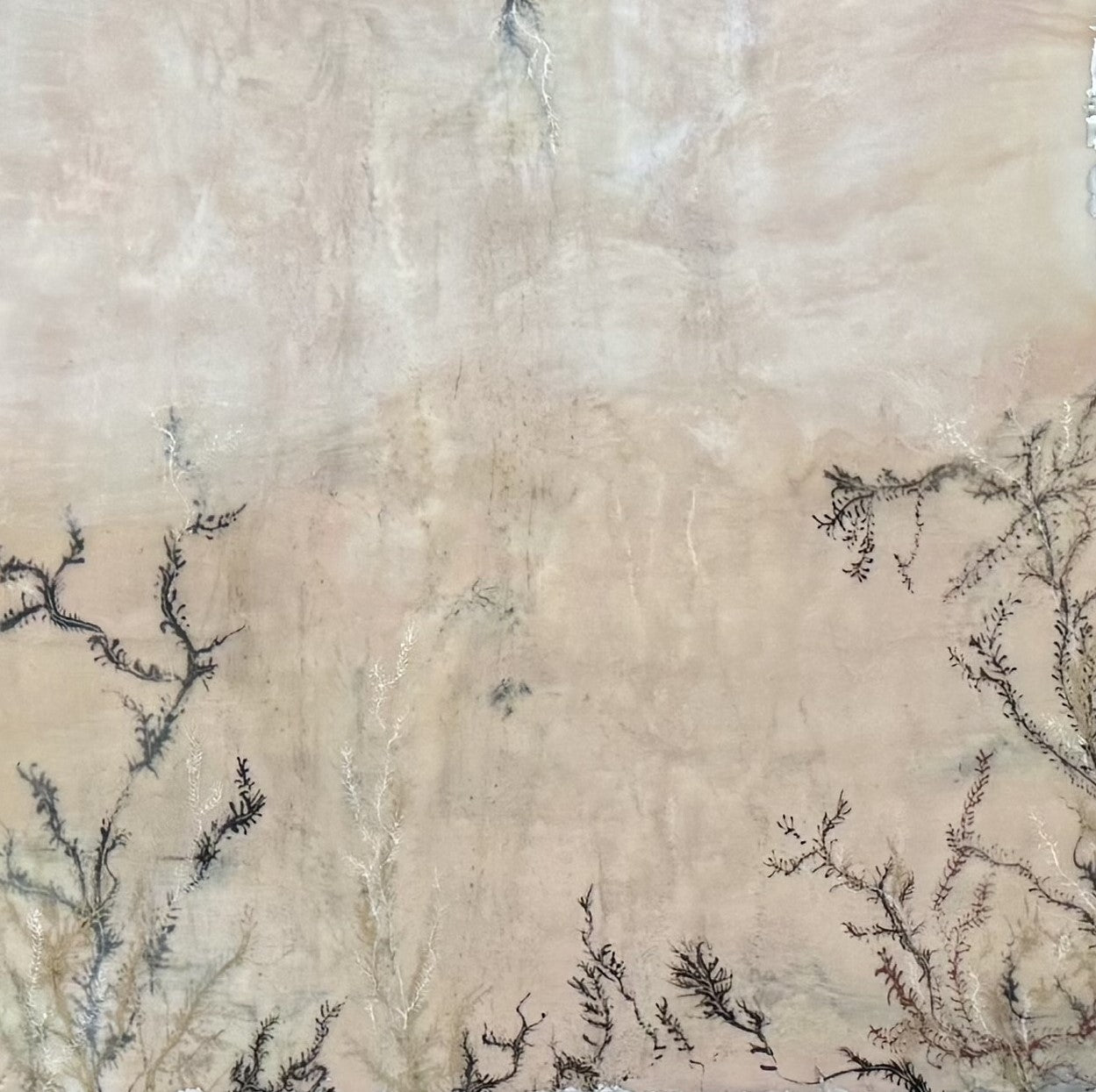 "Dentritic Portal 14"
