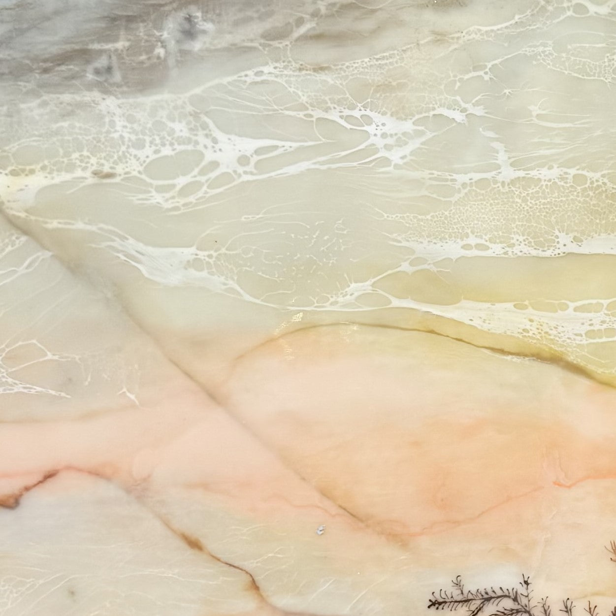 "Dentritic Portal 20"