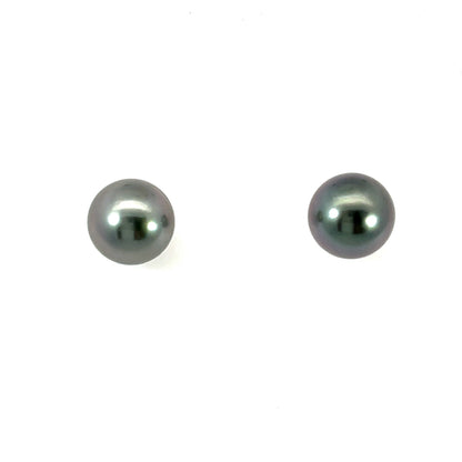 9mm Gray South Sea Pearl Studs