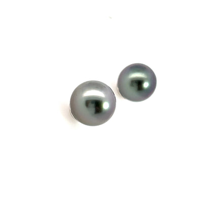 9mm Gray South Sea Pearl Studs