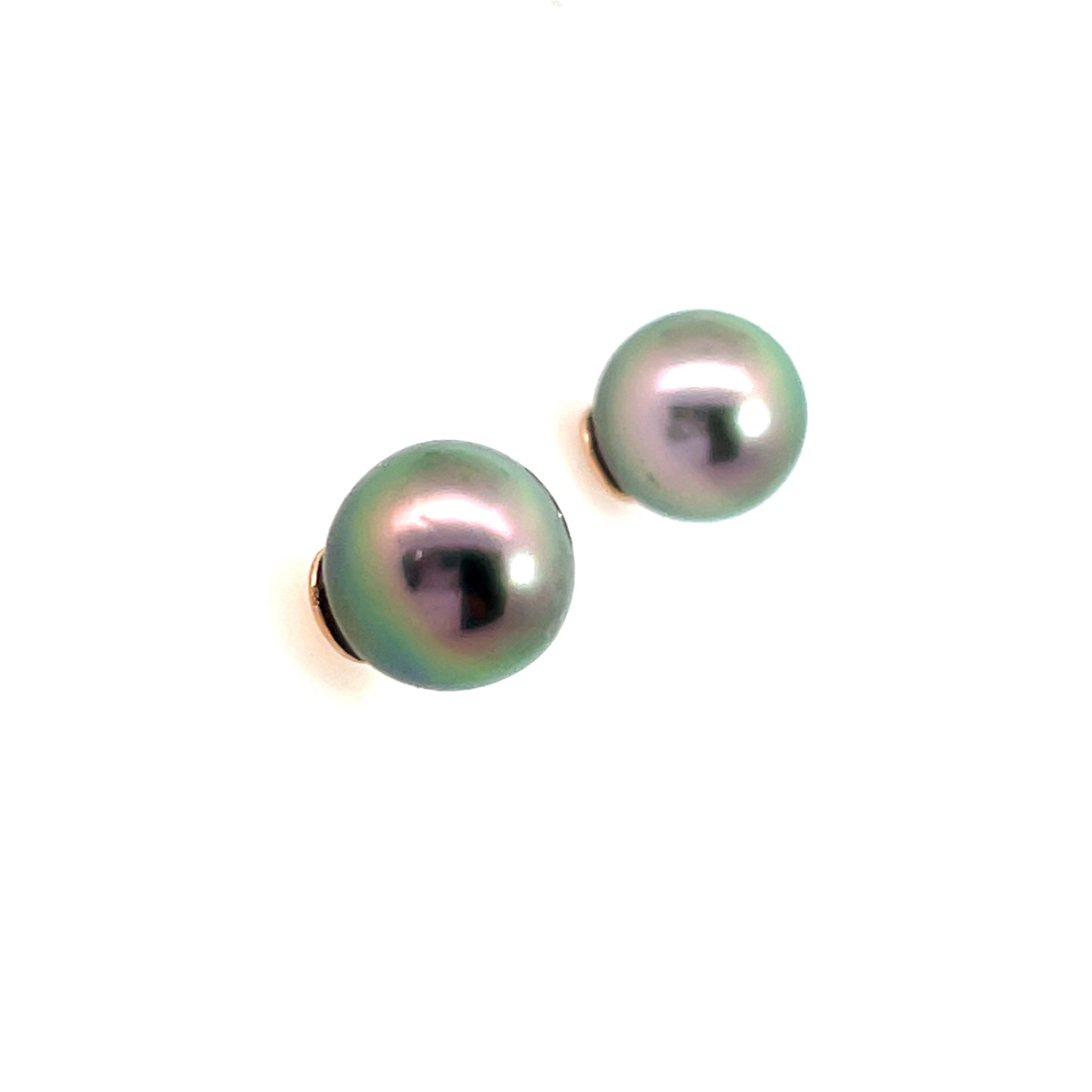 Black South Sea Pearl Stud Earrings