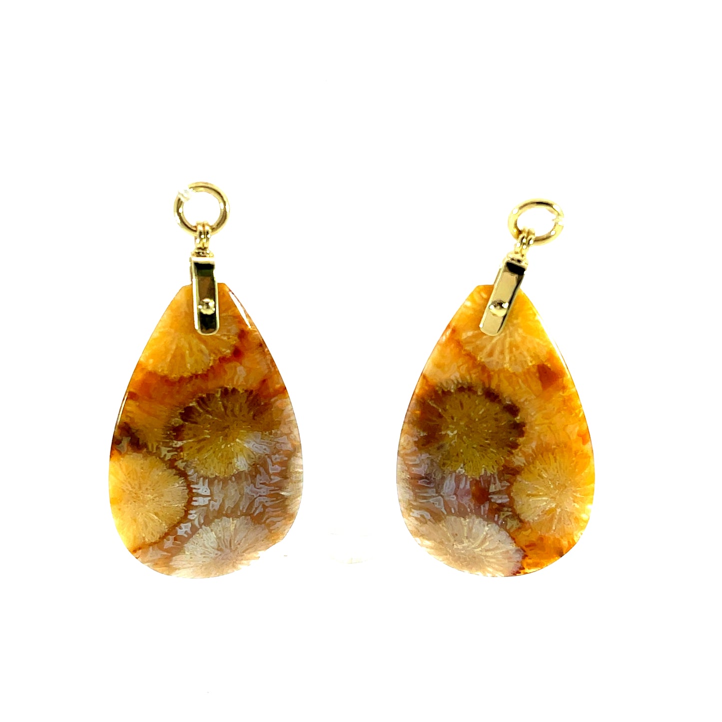 Fossilized Coral Earring Jackets with 18k Yellow Gold