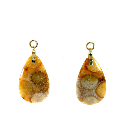 Fossilized Coral Earring Jackets with 18k Yellow Gold