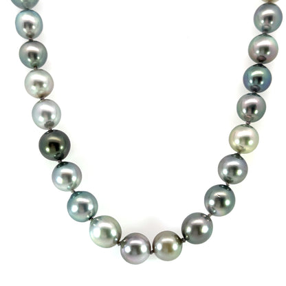 Varied Gray Tahitian Pearls