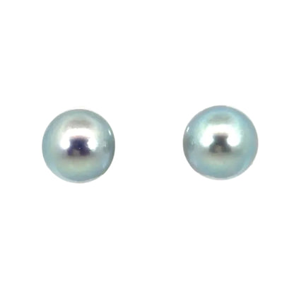 18k White Gold Akoya Pearl Studs