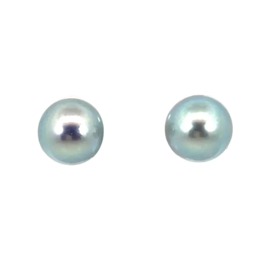 18k White Gold Akoya Pearl Studs