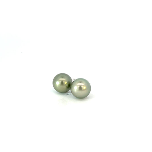 8mm Gray South Sea Pearl Studs