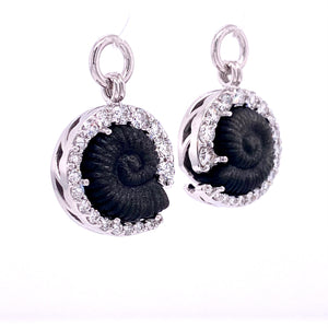 Carved Obsidian Ammonite Jackets