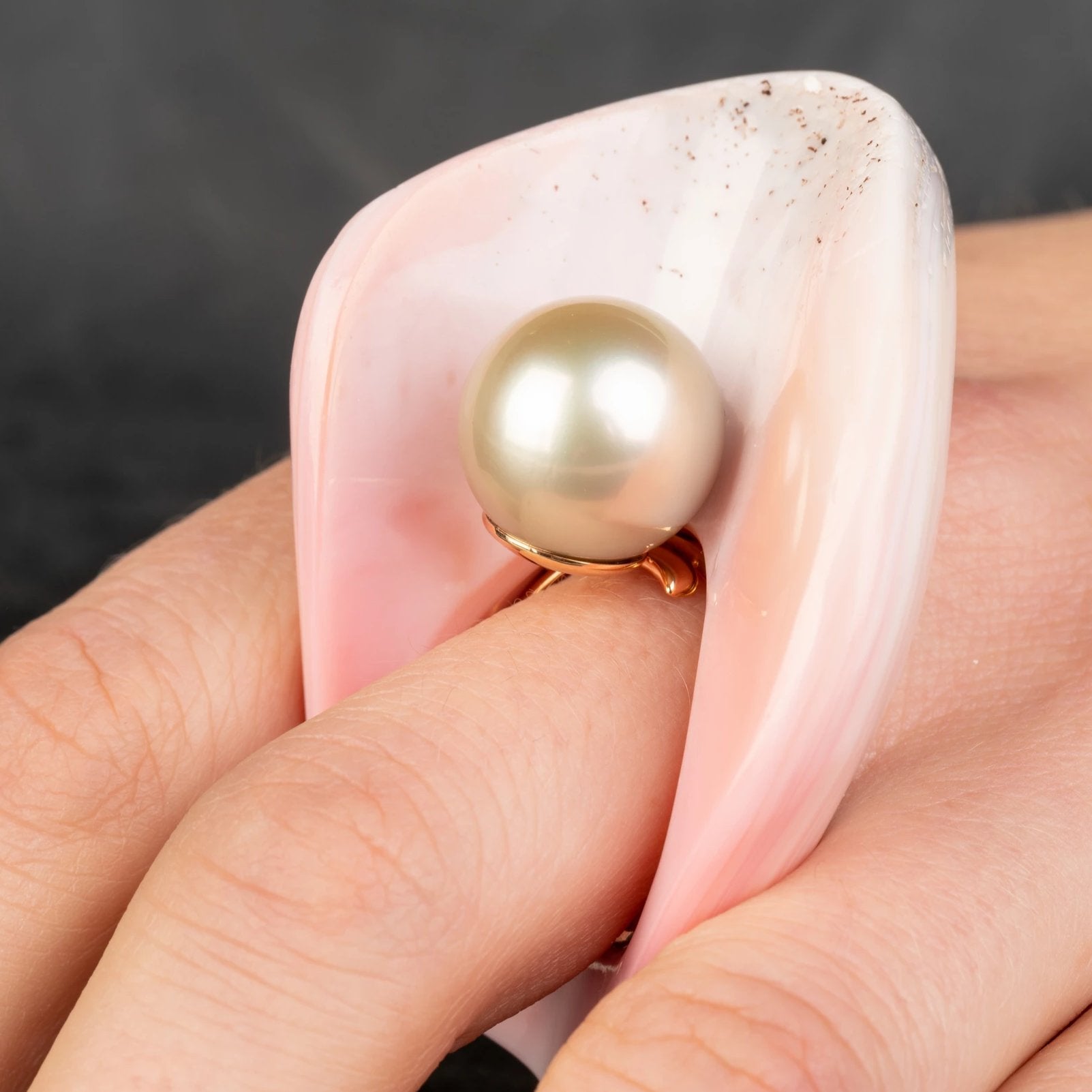 Conch shell clearance ring